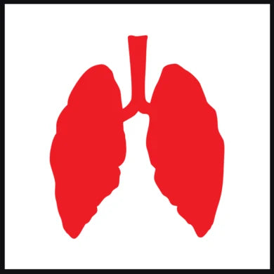 Hvordan måler jeg respirations frekvensen ?