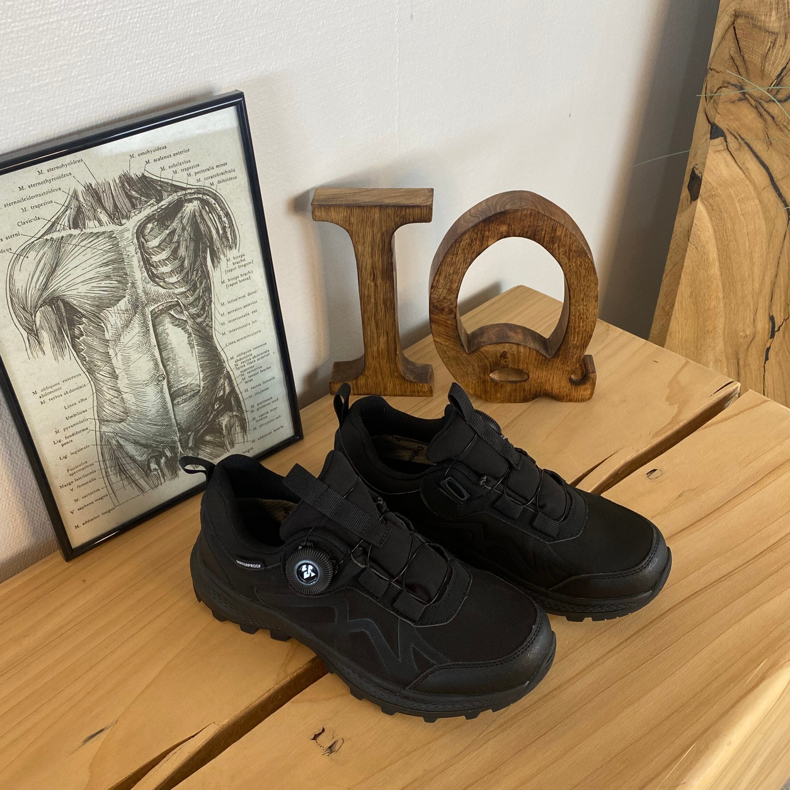 Whistler vandtæt sko med BOA-lukning i sort