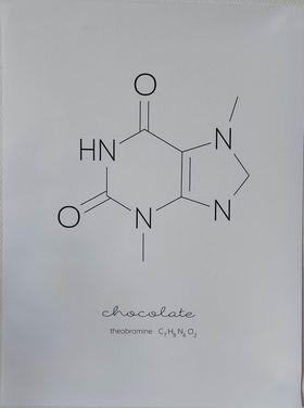 Sjov chokolade molekyle plakat Sygeplejebutikken