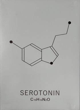 Plakat Serotonin